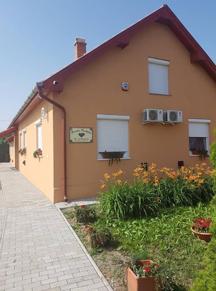 Boroka Vendeghaz Turkeve Hotel Buitenkant foto